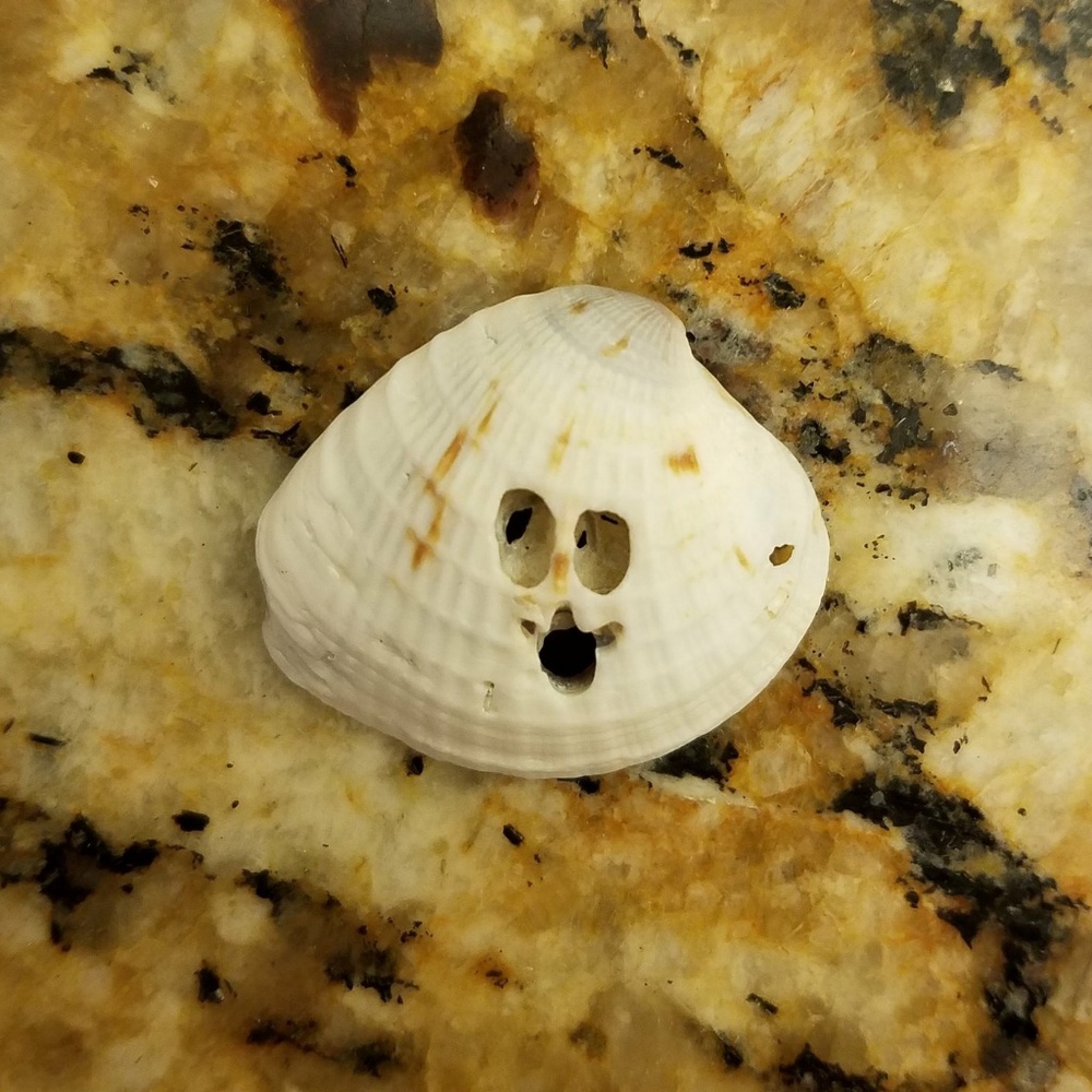 Meet your Posher, Valerie